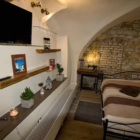 Apartment U Gotickeho Dvojcete *